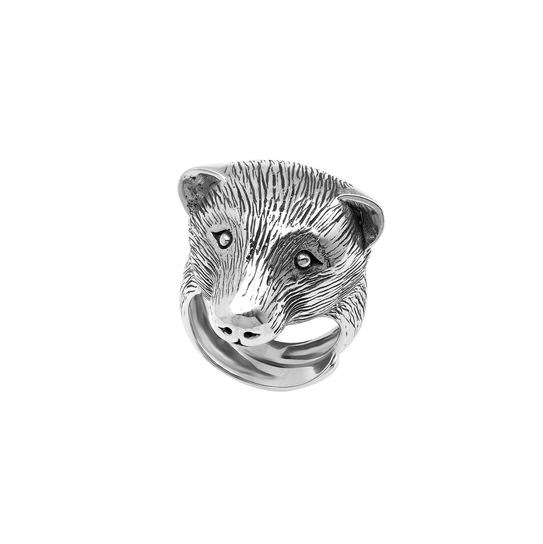 AR-1178-S-6 Sterling Silver Ring With Plain Silver Jewelry Bali Designs Inc 